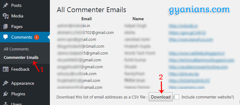 export email addresses using commenters emails plugin