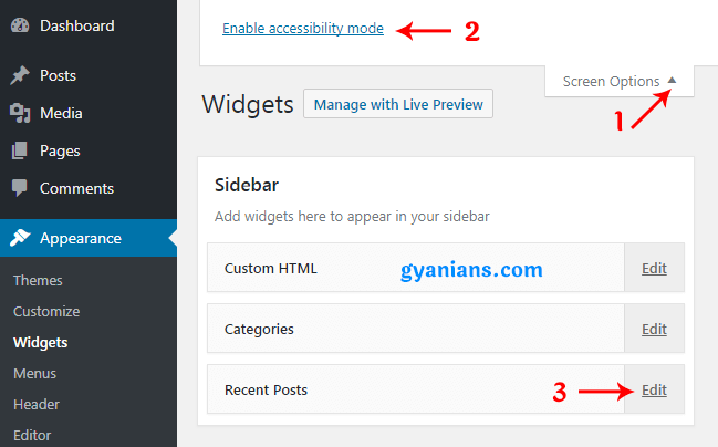 enable widget accessibility mode